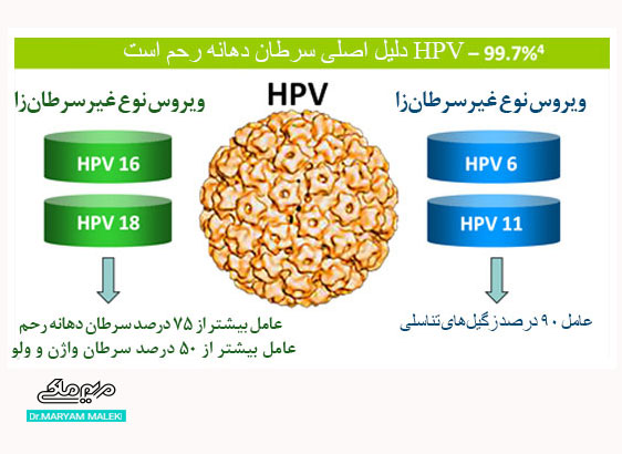 انواع ویروس hpv