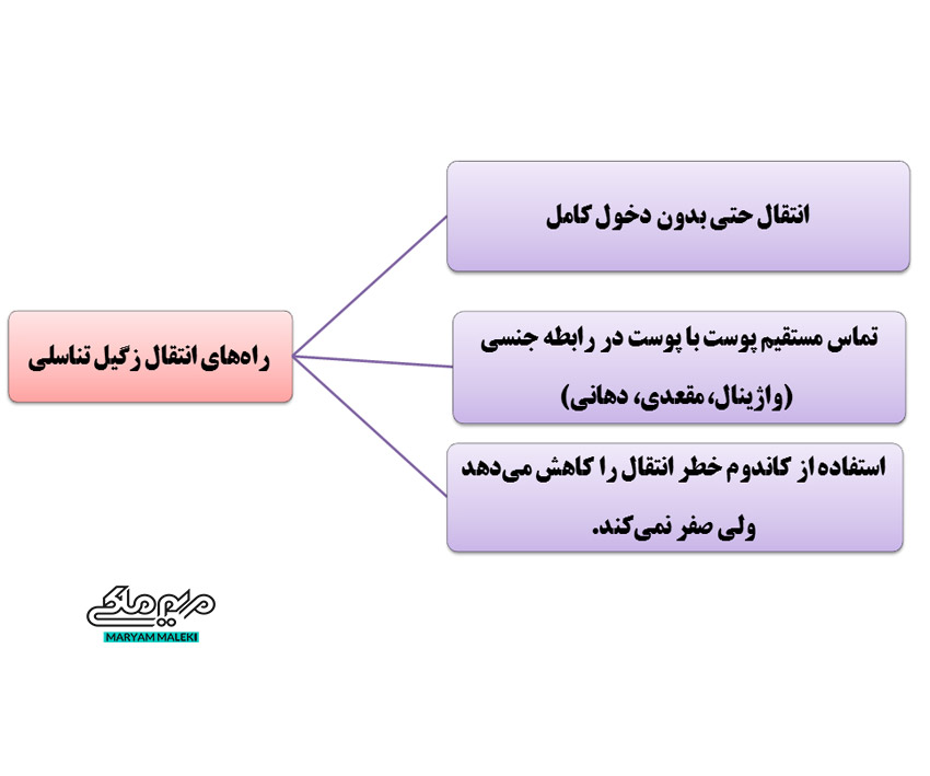 راه‌های-انتقال-زگیل-تناسلی