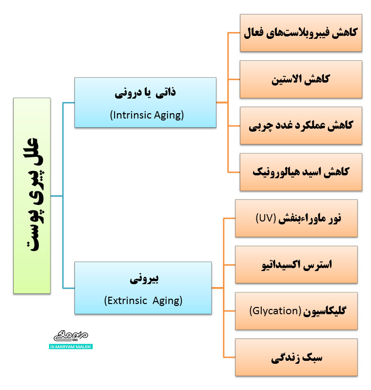 علل-پیری-پوست