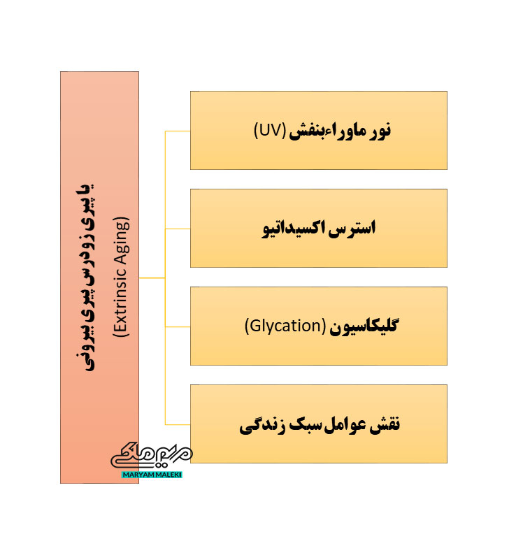 پیری-بیرونی-یا-پیری-زودرس
