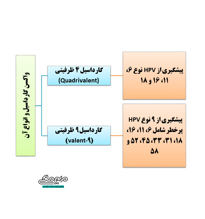 واکسن-گارداسیل-و-انواع-آن