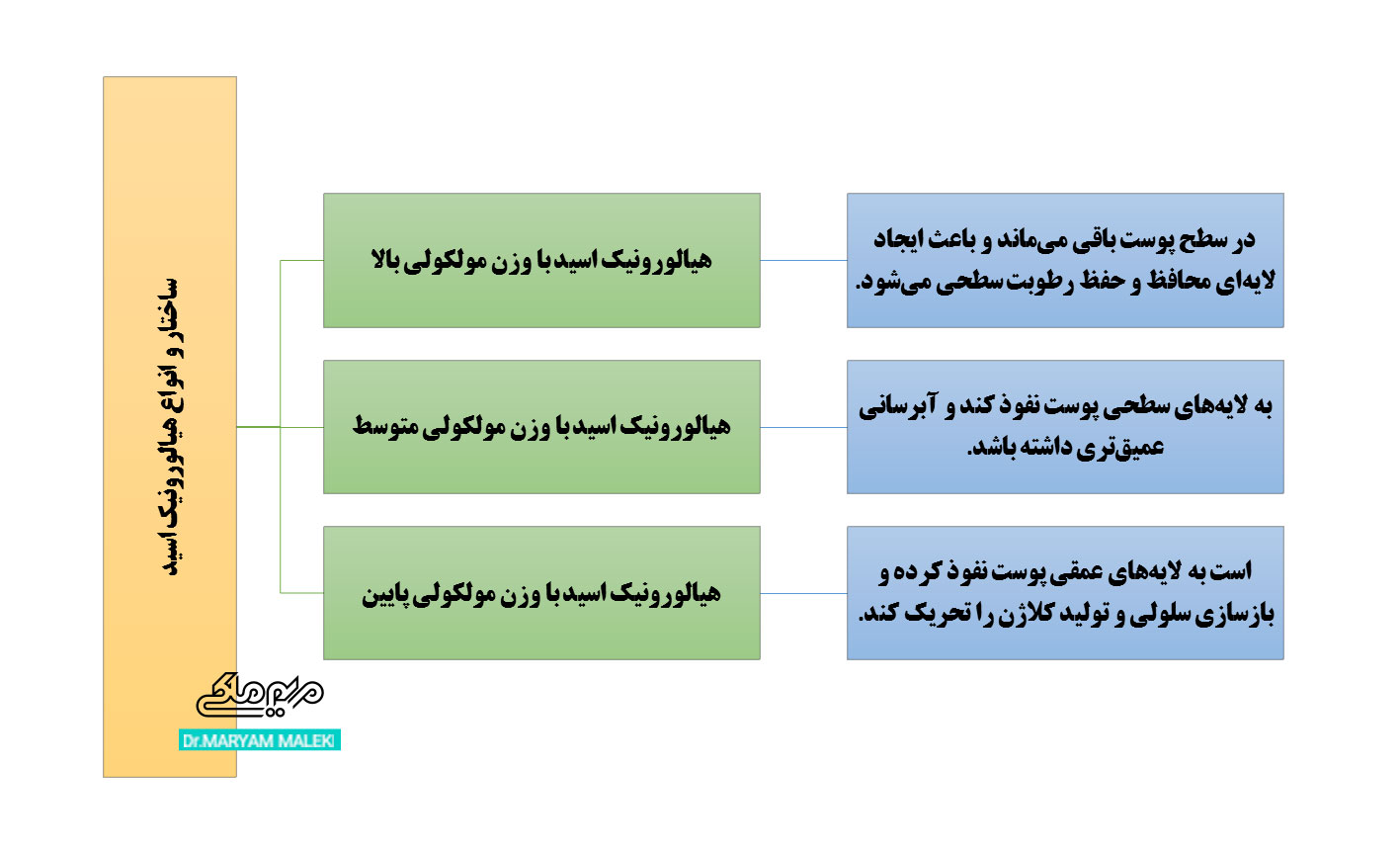 ساختار-و-انواع-هیالورونیک-اسید
