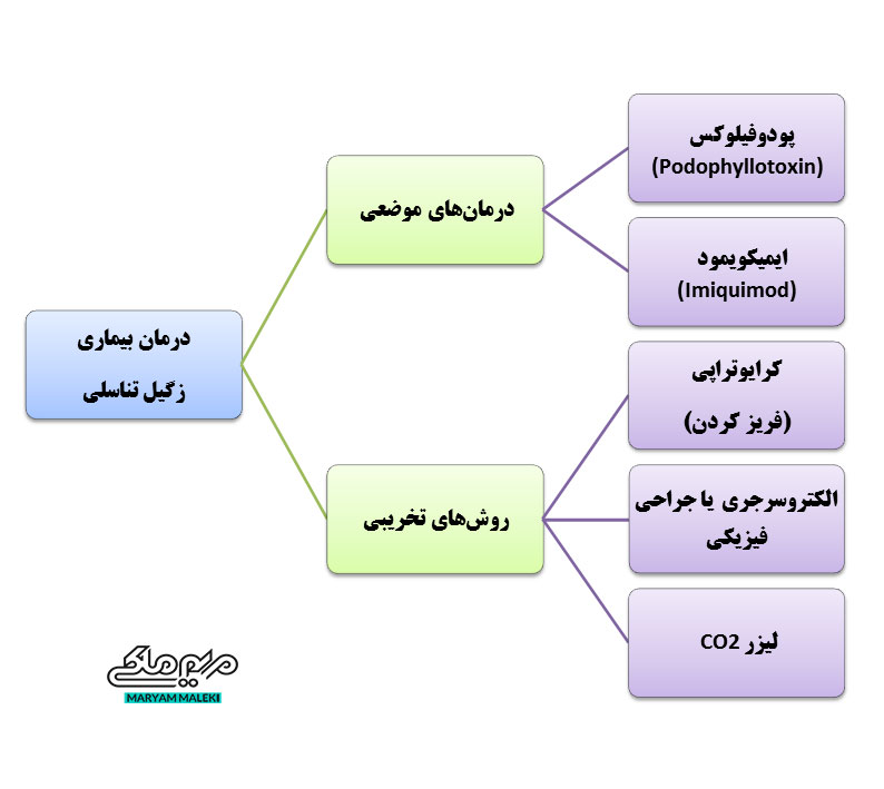 درمان بیماری
زگیل تناسلی
