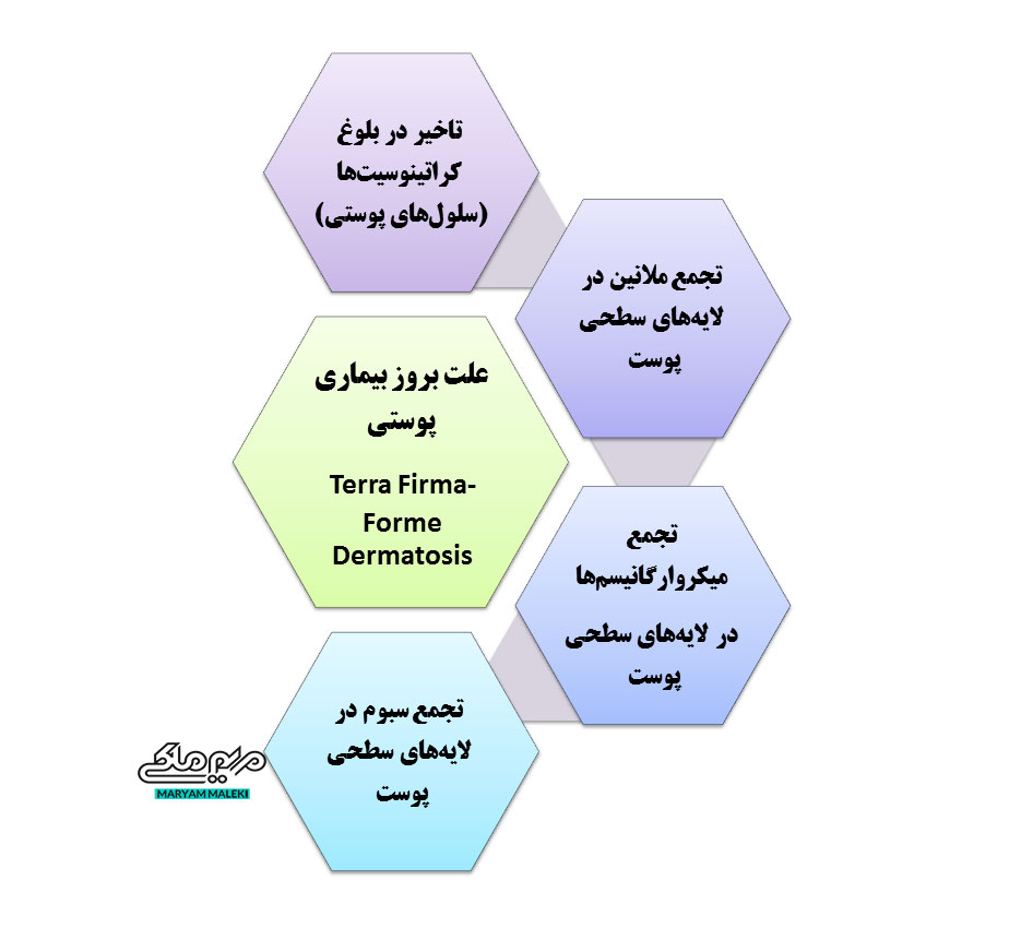علت-بروز-بیماری-پوستی
