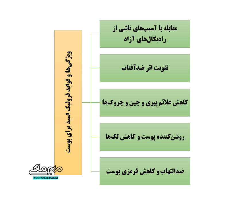 ویژگی_ها-و-فواید-فرولیک-اسید-برای-پوست