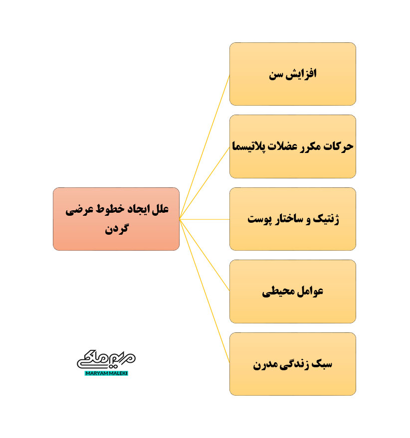 علل-ایجاد-خطوط-عرضی-گردن