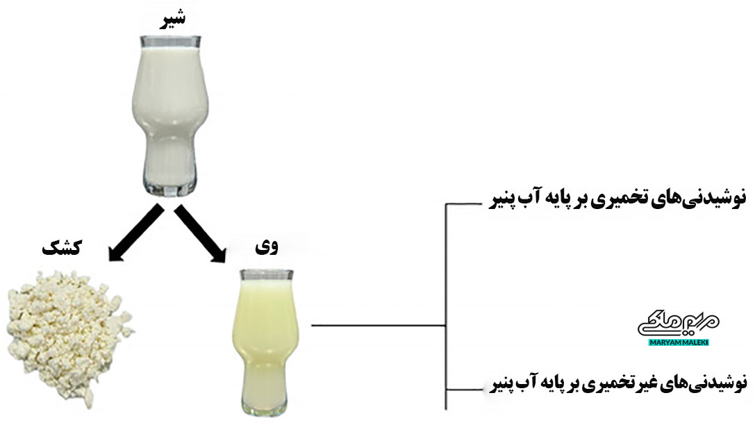 پروتئین-وی از چه چیز بدست می آید؟