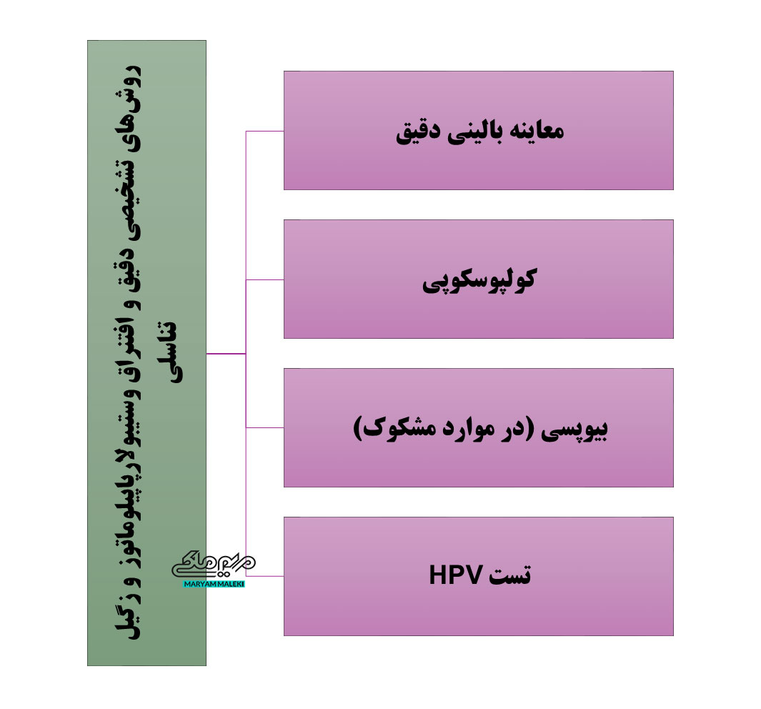 روش‌های-تشخیصی-دقیق-و-افتنراق-وستیبولارپاپیلوماتوز-و-زگیل-تناسلی